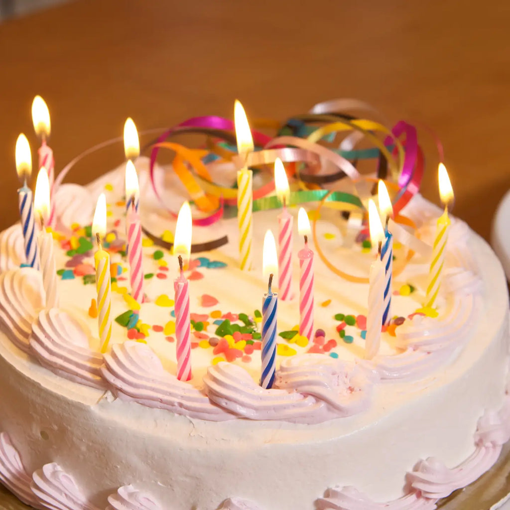 Fox Run Birthday Candle, 24 Ct